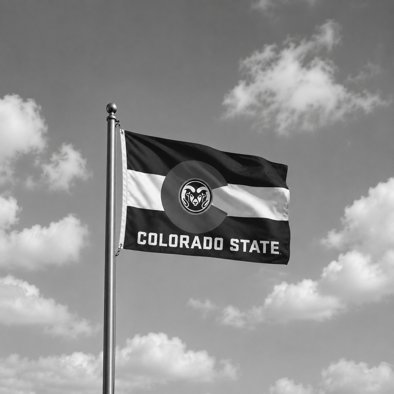 CSU